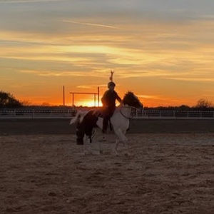 Meet your Posher, Alex